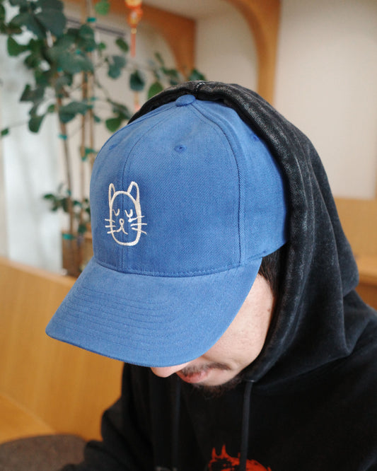TYC Blue Dad Hat